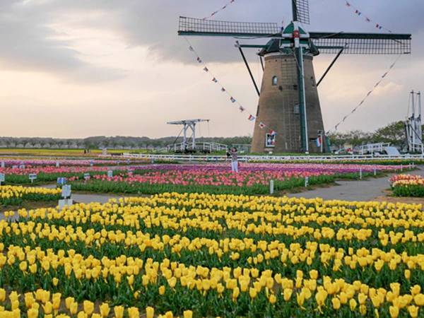 佐倉ちほの記事一覧 ウーマンエキサイト 2 5