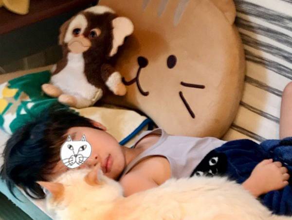 「落ちたら大変」 ソファで眠る子供に寄り添っていたのは？(2021年6月11日)｜ウーマンエキサイト