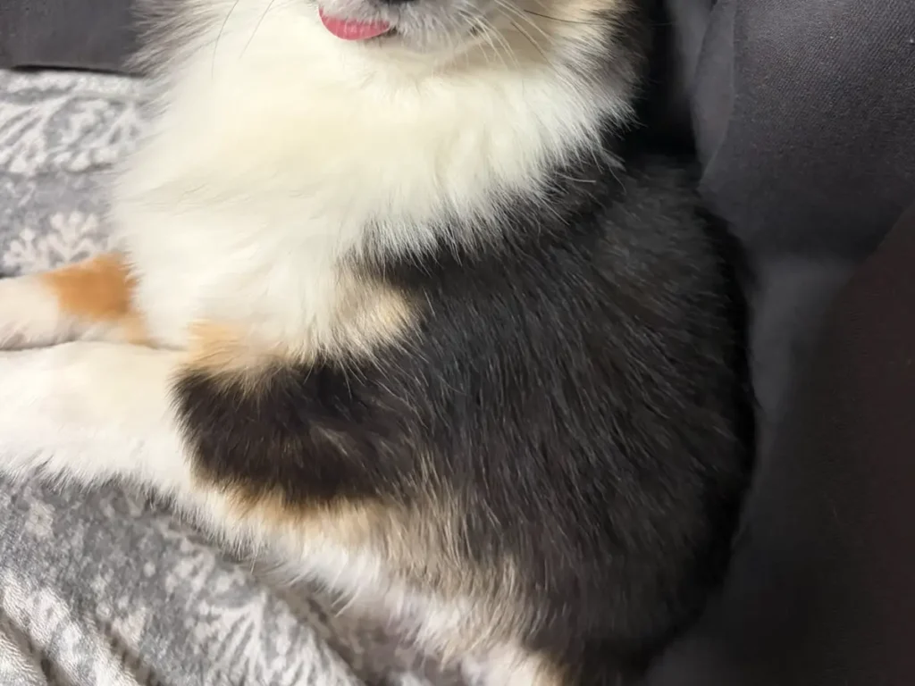 仕事で詰められた女性　元気が湧いた理由に「壁に貼りたい」「救いだ」