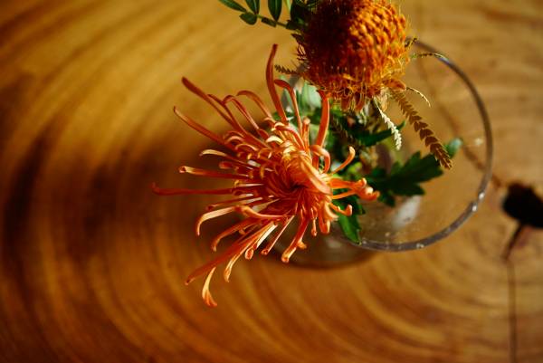 秋は菊の花がおすすめ 菊のおしゃれな飾り方やアレンジ 長持ちの秘訣をご紹介 E レシピ 料理のプロが作る簡単レシピ 1 2ページ