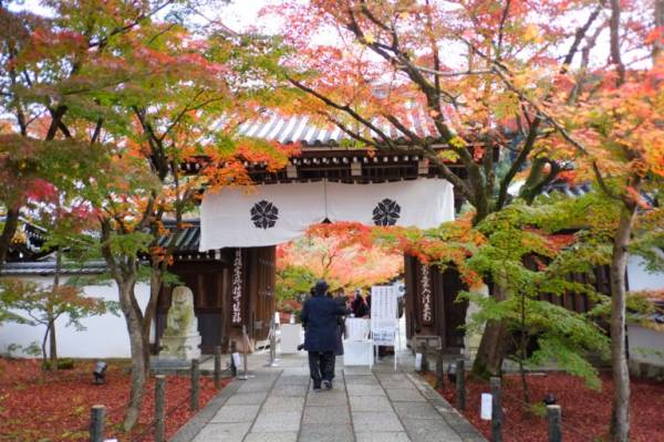 京都 紅葉の名所 禅林寺 永観堂 を参拝 夜にライトアップされた美しい景色にうっとり E レシピ 料理のプロが作る簡単レシピ 1 3ページ