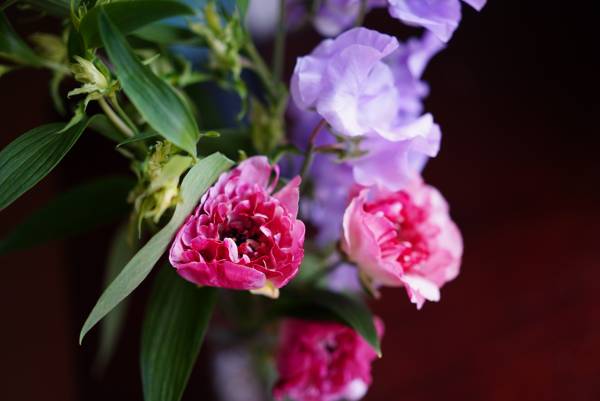 リモートワークに花を飾って フラワーアーティスト 前田有紀さんがおすすめする 春の花 E レシピ 料理のプロが作る簡単レシピ 1 2ページ