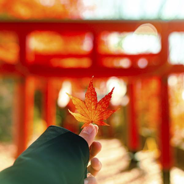 東京から新幹線でアクセス抜群 長野 ご当地グルメ パワースポットを巡る 癒しの旅へ E レシピ 料理のプロが作る簡単レシピ 1 2ページ