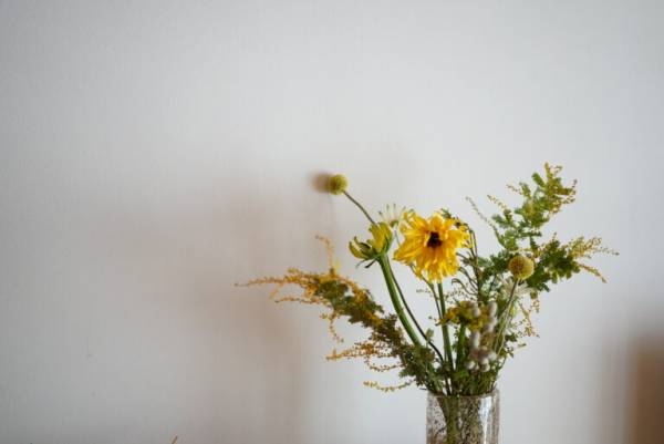 フラワーアーティスト 前田有紀さん直伝 黄色い丸い花が愛らしいミモザの楽しみ方 E レシピ 料理のプロが作る簡単レシピ 1 2ページ