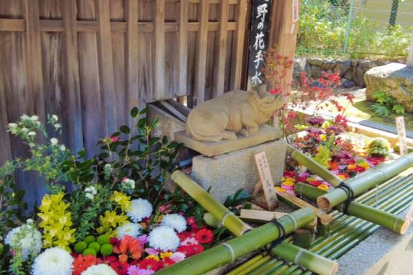 京都 ご利益のある撫で牛に注目 天満宮 天神社の総本社 北野天満宮 を参拝 E レシピ 料理のプロが作る簡単レシピ 1 3ページ