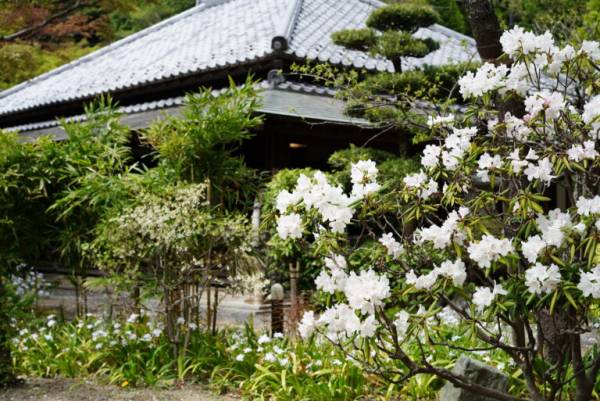 週末は子どもと一緒に鎌倉散歩 季節の花が鮮やかに咲く 人気スポット 浄妙寺 へ E レシピ 料理のプロが作る簡単レシピ 1 2ページ