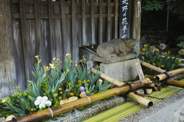 京都 花手水 はなちょうず が魅力的な寺社6選 花で作りあげる小さな美の世界へ E レシピ 料理のプロが作る簡単レシピ 3 4ページ