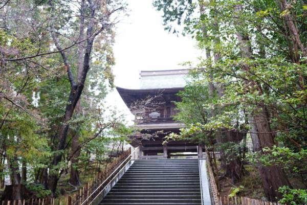 春は鎌倉の 花寺 を巡ろう 鎌倉在住フラワーアーティスト 前田有紀のおすすめスポット E レシピ 料理のプロが作る簡単レシピ 1 4ページ