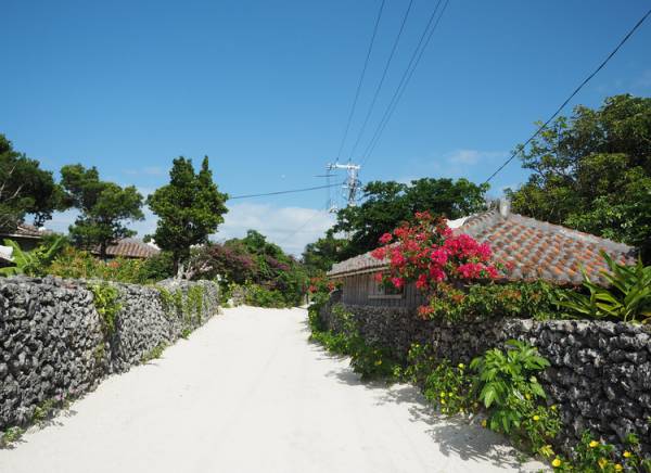 新発見 沖縄は 冬が美味しい 竹富島で冬が旬の食材をいただく 島テロワール 星のや竹富島 E レシピ 料理のプロが作る簡単レシピ 1 5ページ