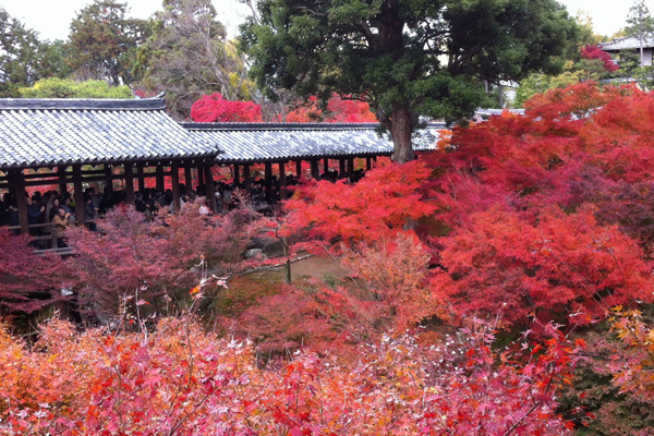 秋の京都はここに決まり 京都の紅葉名所と おすすめグルメ店をご紹介 E レシピ 料理のプロが作る簡単レシピ 1 3ページ