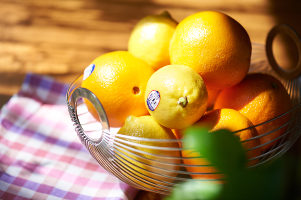 レモンの効果で爽やかに夏を乗り切る！ 自家製レモンジンジャーエールの作り方