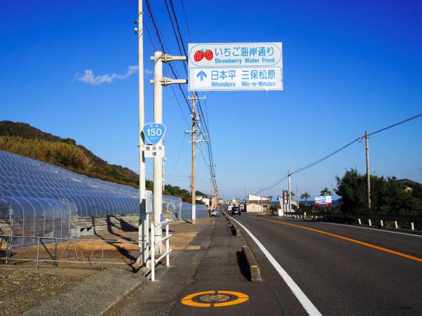 いちご栽培発祥の地 静岡 いちご海岸ストリート 1 満喫ドライブコース E レシピ 料理のプロが作る簡単レシピ 1 5ページ