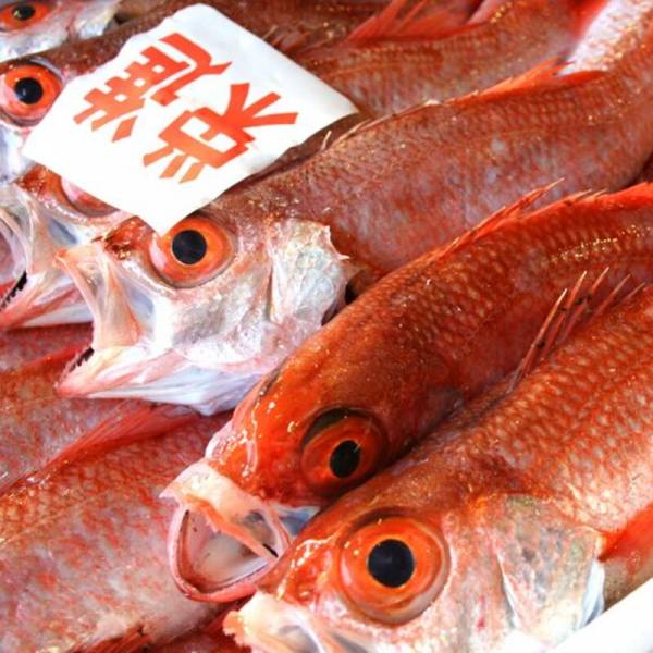 高級魚 のどぐろ の旬は今 底引き網漁解禁 食べるなら今っ E レシピ 料理のプロが作る簡単レシピ 1 4ページ