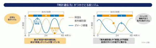 肌時計の乱れを整える、SONOKO最高峰の美容液「ザ・ソノコ セラム」誕生【SONOKO】