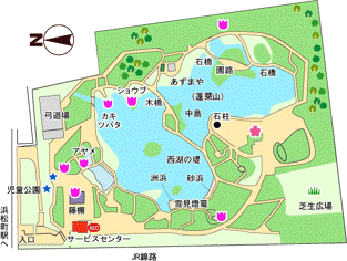 【旧芝離宮恩賜庭園】開園100周年を祝って4/20（土）は無料開園を実施します！