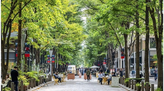 災害への備えは十分ですか？ 東京都が家族を守る「TOKYO強靭化プロジェクト」って？