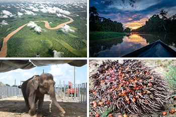 【モヤモヤ疑問を解決！ 今日から知っ得 Vol.4】「無添加」だからって「やさしい」わけじゃない！ そもそも“無添加”ってどういうこと？ 