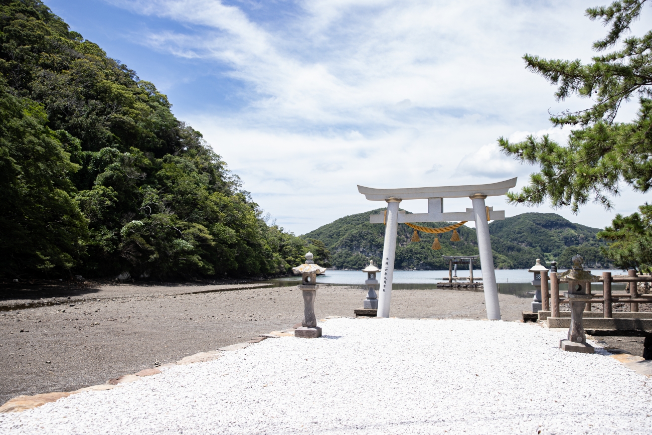 シーカヤック、海の幸も満喫！  ツシマヤマネコのいる島へ…大自然と海のリアルを訪ねる「対馬スタディツアー」に行ってみた【大人の修学旅行レポ】