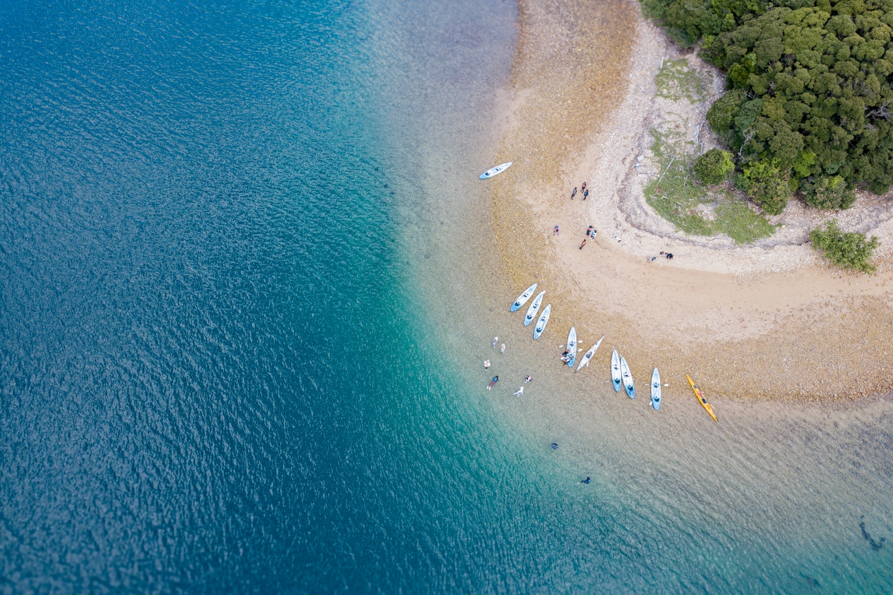 シーカヤック、海の幸も満喫！  ツシマヤマネコのいる島へ…大自然と海のリアルを訪ねる「対馬スタディツアー」に行ってみた【大人の修学旅行レポ】