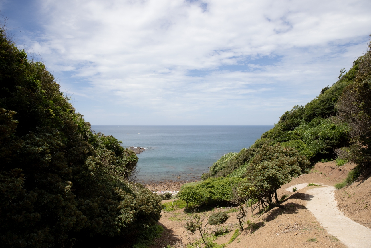 シーカヤック、海の幸も満喫！  ツシマヤマネコのいる島へ…大自然と海のリアルを訪ねる「対馬スタディツアー」に行ってみた【大人の修学旅行レポ】