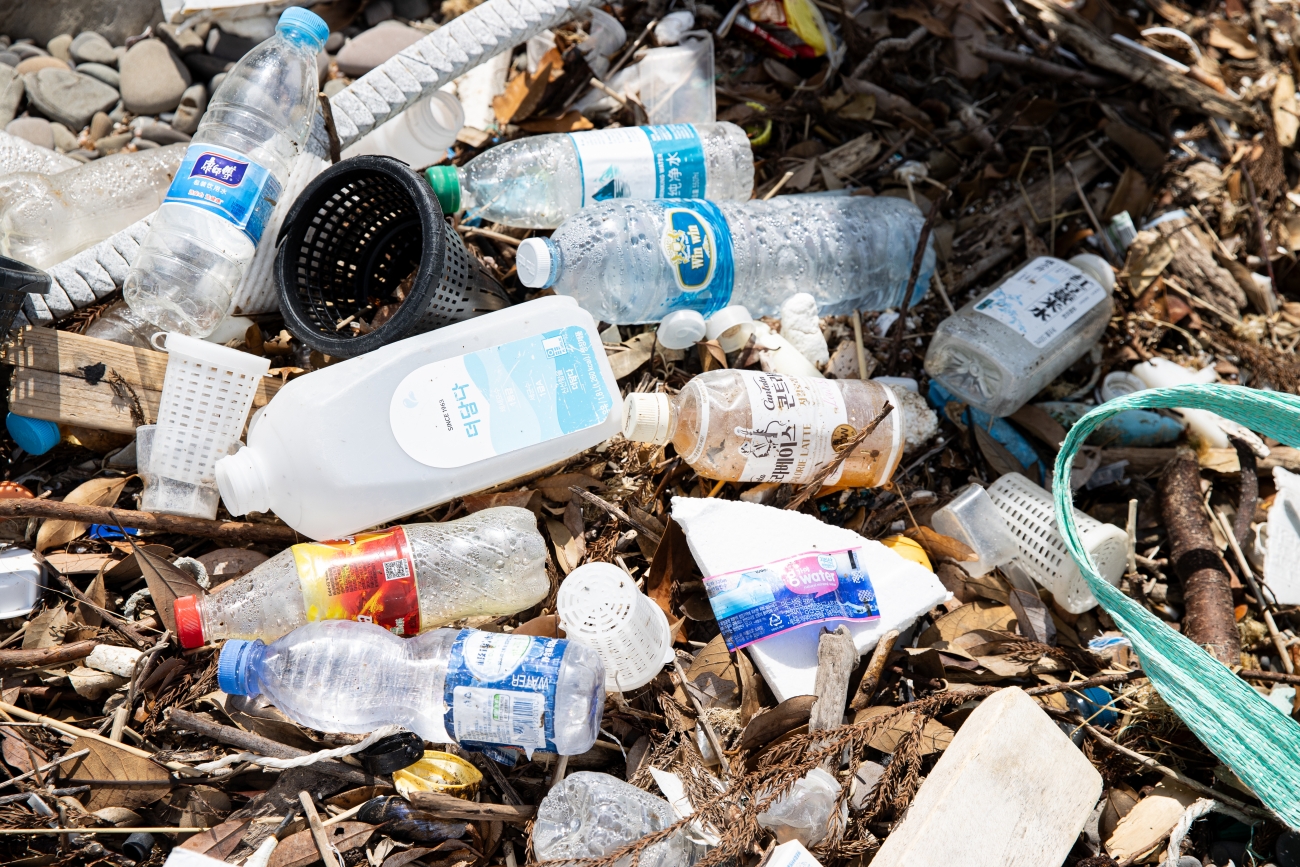 シーカヤック、海の幸も満喫！  ツシマヤマネコのいる島へ…大自然と海のリアルを訪ねる「対馬スタディツアー」に行ってみた【大人の修学旅行レポ】