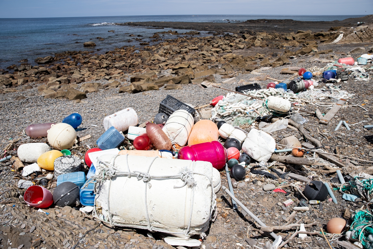 シーカヤック、海の幸も満喫！  ツシマヤマネコのいる島へ…大自然と海のリアルを訪ねる「対馬スタディツアー」に行ってみた【大人の修学旅行レポ】