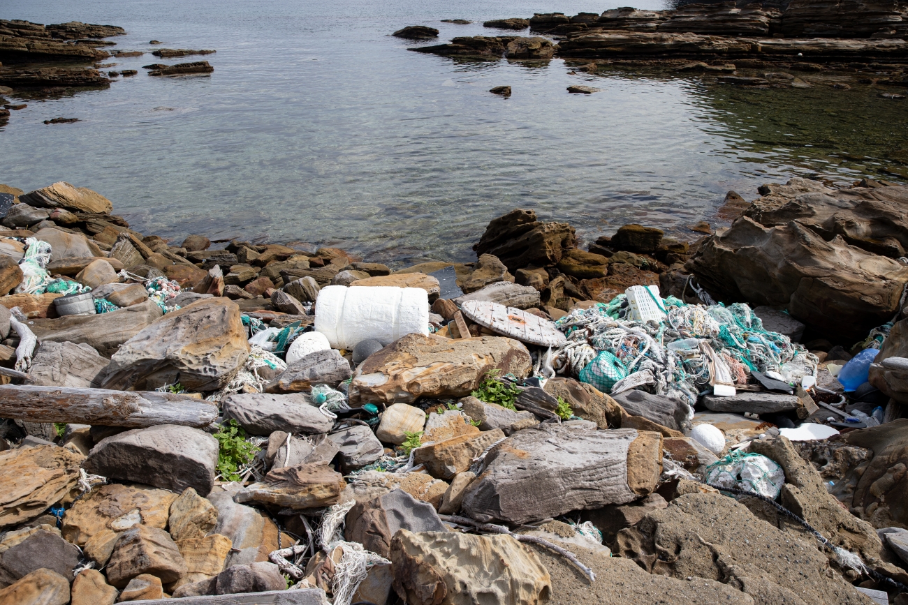 シーカヤック、海の幸も満喫！  ツシマヤマネコのいる島へ…大自然と海のリアルを訪ねる「対馬スタディツアー」に行ってみた【大人の修学旅行レポ】