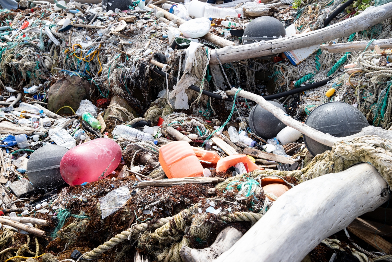 シーカヤック、海の幸も満喫！  ツシマヤマネコのいる島へ…大自然と海のリアルを訪ねる「対馬スタディツアー」に行ってみた【大人の修学旅行レポ】