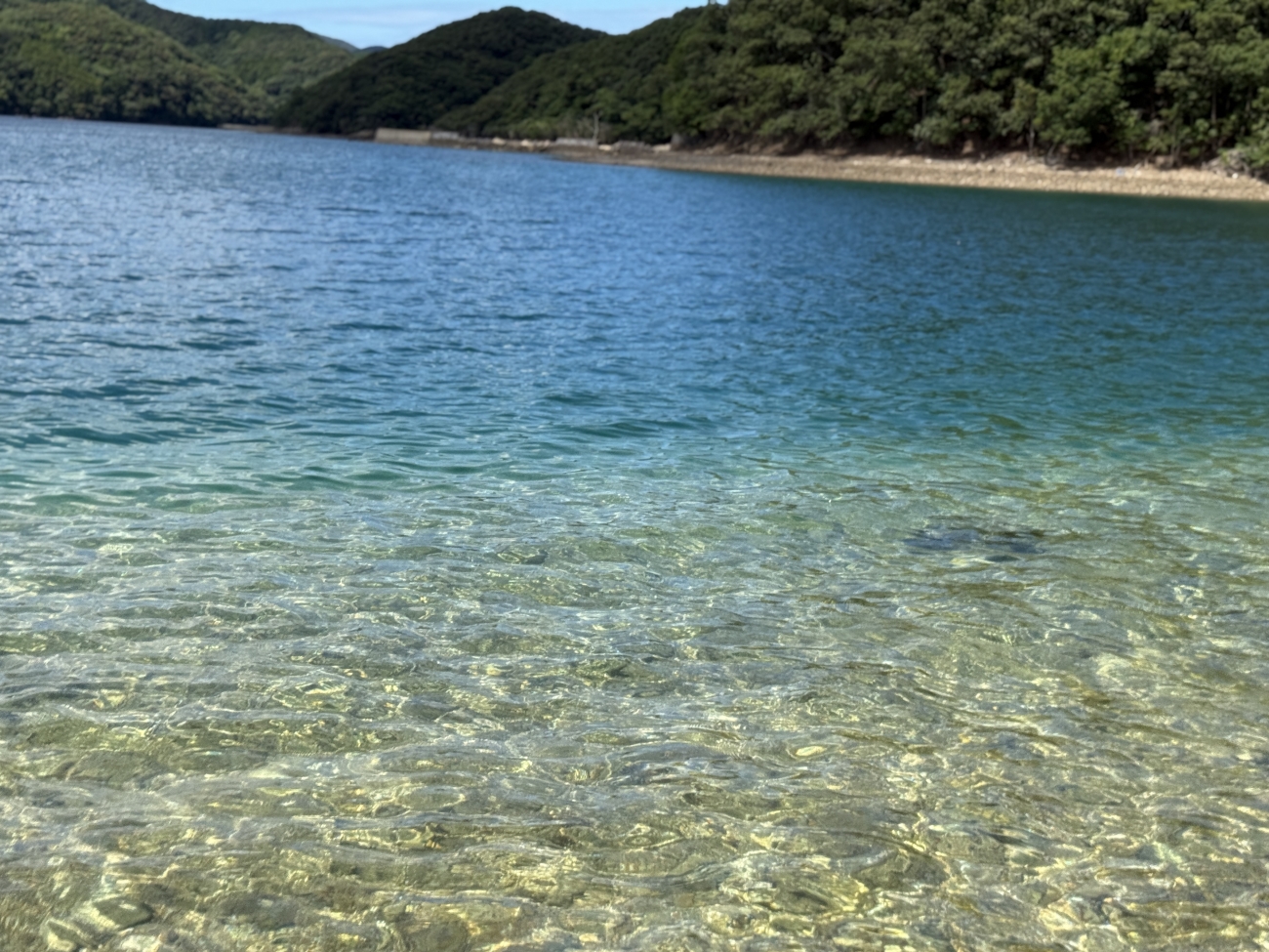 シーカヤック、海の幸も満喫！  ツシマヤマネコのいる島へ…大自然と海のリアルを訪ねる「対馬スタディツアー」に行ってみた【大人の修学旅行レポ】