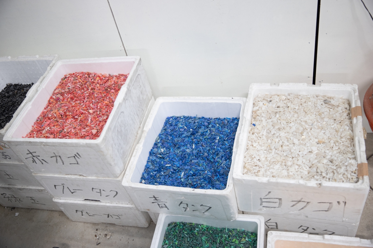 シーカヤック、海の幸も満喫！  ツシマヤマネコのいる島へ…大自然と海のリアルを訪ねる「対馬スタディツアー」に行ってみた【大人の修学旅行レポ】