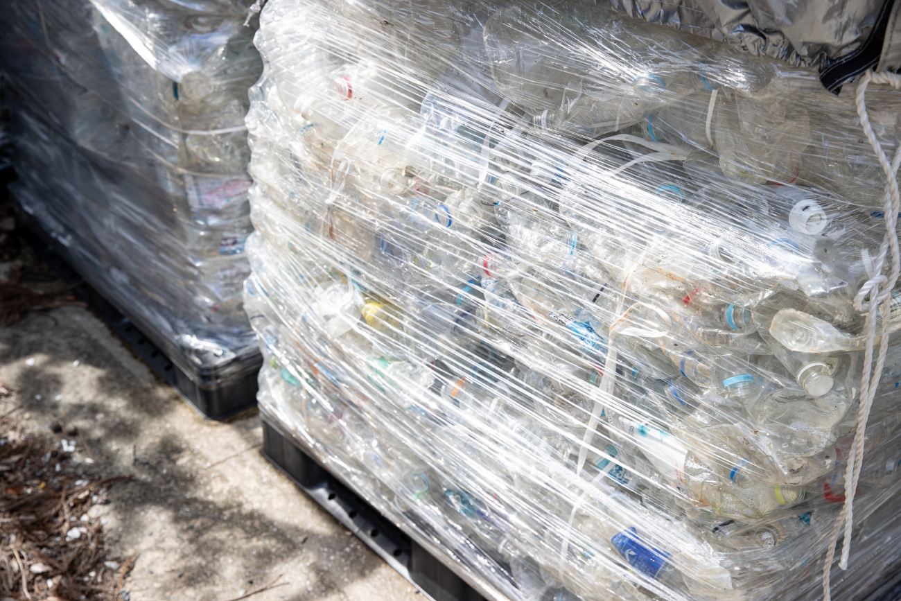 シーカヤック、海の幸も満喫！  ツシマヤマネコのいる島へ…大自然と海のリアルを訪ねる「対馬スタディツアー」に行ってみた【大人の修学旅行レポ】