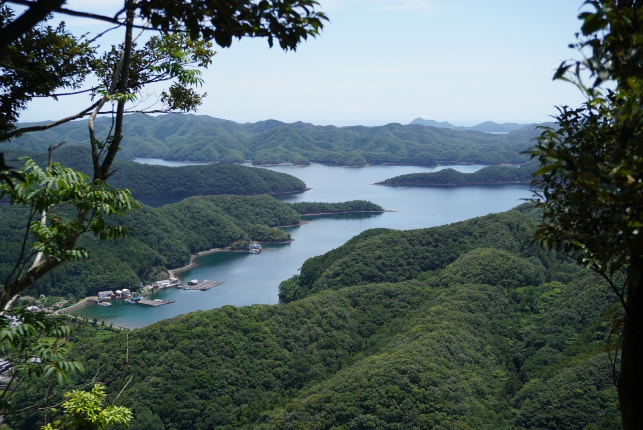 シーカヤック、海の幸も満喫！  ツシマヤマネコのいる島へ…大自然と海のリアルを訪ねる「対馬スタディツアー」に行ってみた【大人の修学旅行レポ】