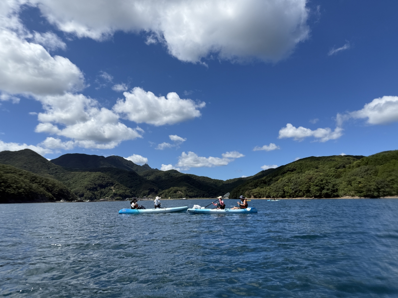 シーカヤック、海の幸も満喫！  ツシマヤマネコのいる島へ…大自然と海のリアルを訪ねる「対馬スタディツアー」に行ってみた【大人の修学旅行レポ】