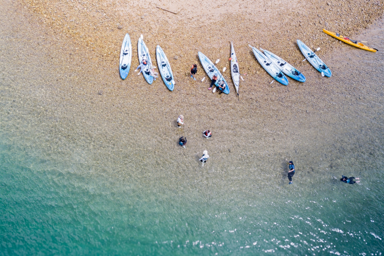 シーカヤック、海の幸も満喫！  ツシマヤマネコのいる島へ…大自然と海のリアルを訪ねる「対馬スタディツアー」に行ってみた【大人の修学旅行レポ】