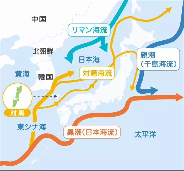 シーカヤック、海の幸も満喫！  ツシマヤマネコのいる島へ…大自然と海のリアルを訪ねる「対馬スタディツアー」に行ってみた【大人の修学旅行レポ】