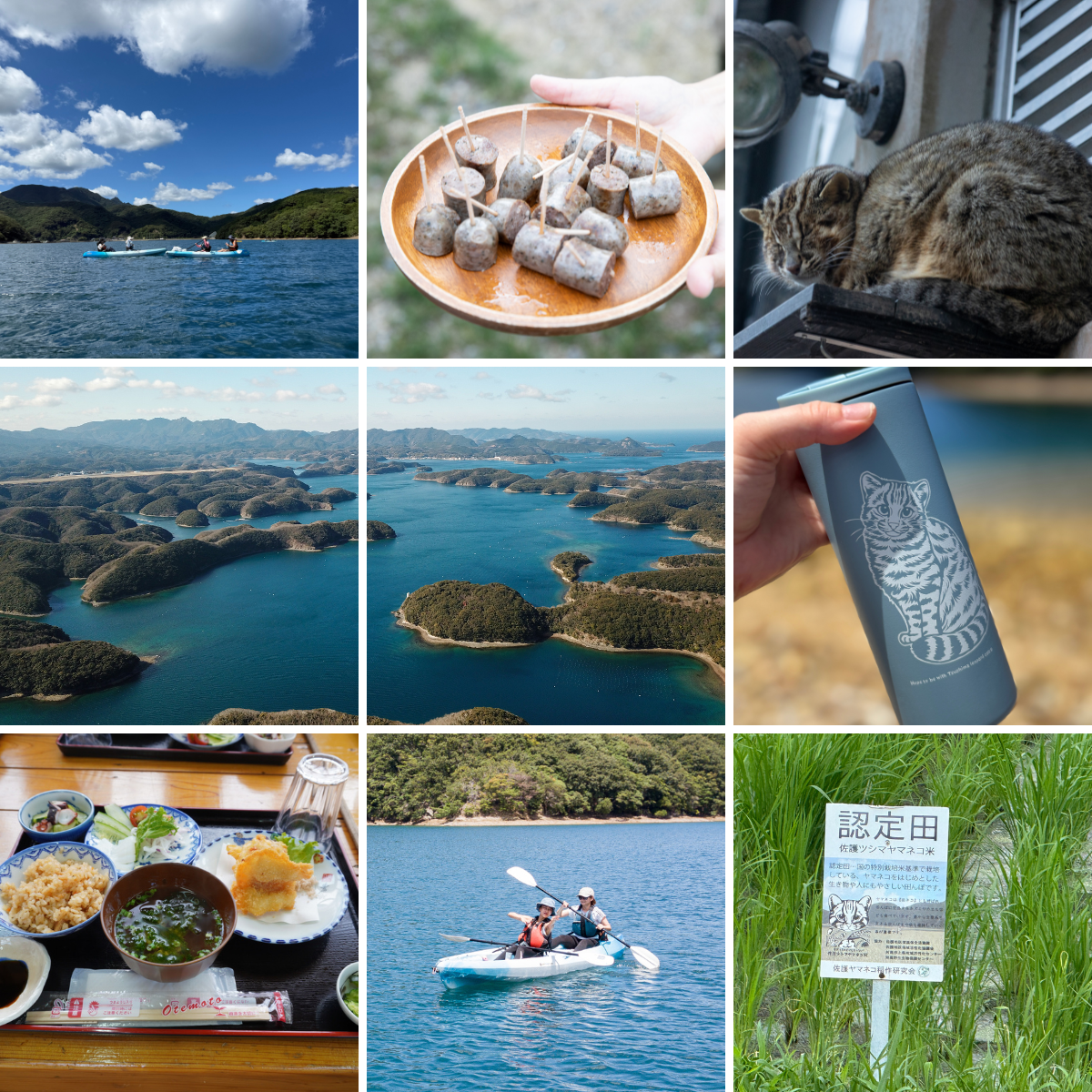 シーカヤック、海の幸も満喫！  ツシマヤマネコのいる島へ…大自然と海のリアルを訪ねる「対馬スタディツアー」に行ってみた【大人の修学旅行レポ】