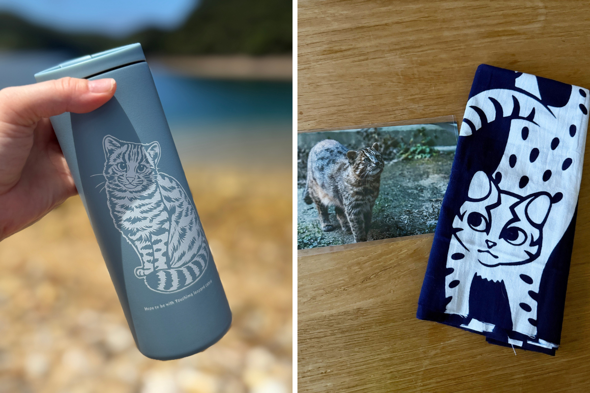 シーカヤック、海の幸も満喫！  ツシマヤマネコのいる島へ…大自然と海のリアルを訪ねる「対馬スタディツアー」に行ってみた【大人の修学旅行レポ】