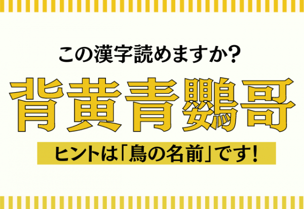 飼っている人もいるかも 背黄青鸚哥 ヒントは 鳥の名前 です 21年6月12日 ウーマンエキサイト 1 2