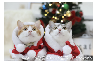 クリスマス 年末年始は新作 ねこまみれ の世界へ ねこ休み展 冬 22 In 福岡 12 3 土 1 15 日 開催 22年12月2日 ウーマンエキサイト 1 2