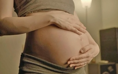 母乳と胎盤のおかげで「親子愛」は生まれた。NHKスペシャル「生命大躍進」が神秘的で感動！