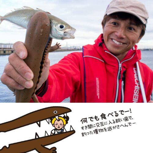 最新版 耐久性や使い勝手が抜群 フィッシュグリップのおすすめ選 Exciteママアイテム 最新版 耐久性や使い勝手が抜群 フィッシュグリップのおすすめ選 Exciteママアイテム