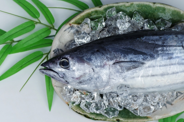 カツオは栄養豊富 旬やおすすめの食べ方は 新鮮な魚で健康生活 E レシピ 料理のプロが作る簡単レシピ 1 1ページ