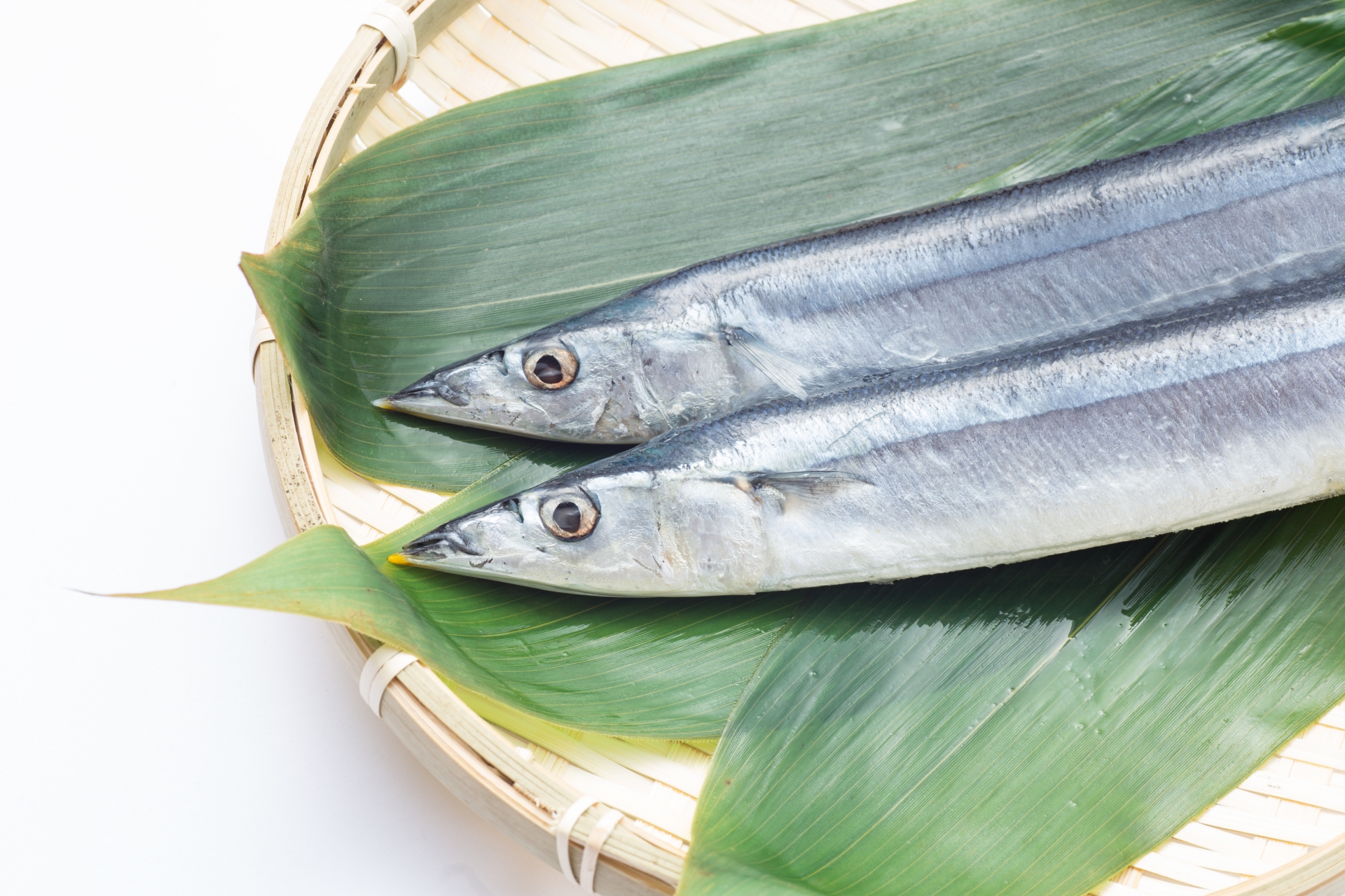 秋刀魚の旬 おいしい食べ方と鮮度の見分け方を知って味わいつくそう マピオンニュース