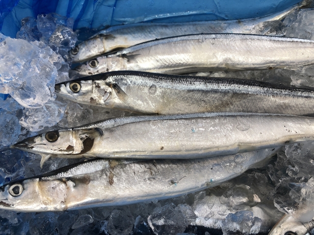 秋刀魚の旬 おいしい食べ方と鮮度の見分け方を知って味わいつくそう E レシピ 料理のプロが作る簡単レシピ 1 1ページ