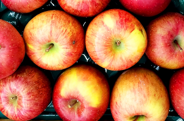 りんごを美味しく保存する方法 常温 冷蔵 冷凍 離乳食のすりおろしも E レシピ 料理のプロが作る簡単レシピ 1 1ページ