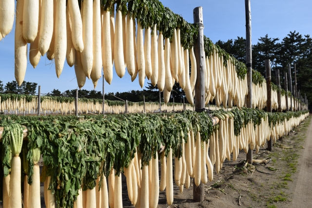 大根の保存方法 調理するのに便利な方法を大公開 おいしく食べ切ろう E レシピ 料理のプロが作る簡単レシピ 1 1ページ