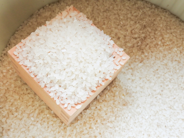 ストア お米 虫  対策 コクゾウムシ 予防  虫どろぼう 10個セット