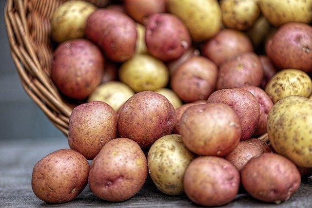 じゃがいもは野菜 穀物どっち 芋類を含めた分類の違いや定義を解説 E レシピ 料理のプロが作る簡単レシピ 1 1ページ