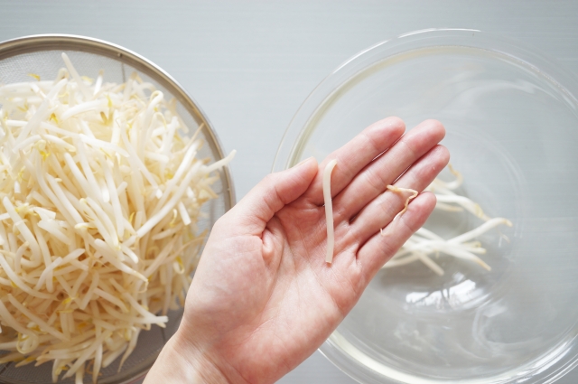 もやしの栄養は種類によって違う 下ごしらえのコツや効果的な食べ方を紹介 E レシピ 料理のプロが作る簡単レシピ 1 1ページ