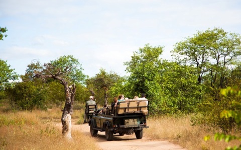 ローカルな旅を南アフリカで（2）　大自然に抱かれて過ごす、感動のサファリ